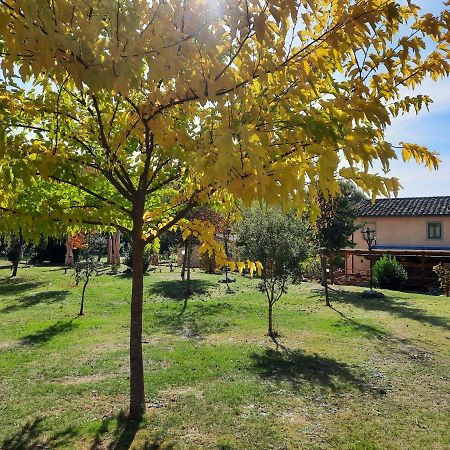 Sassomatto B&B Bioagriturelax Campogialli エクステリア 写真