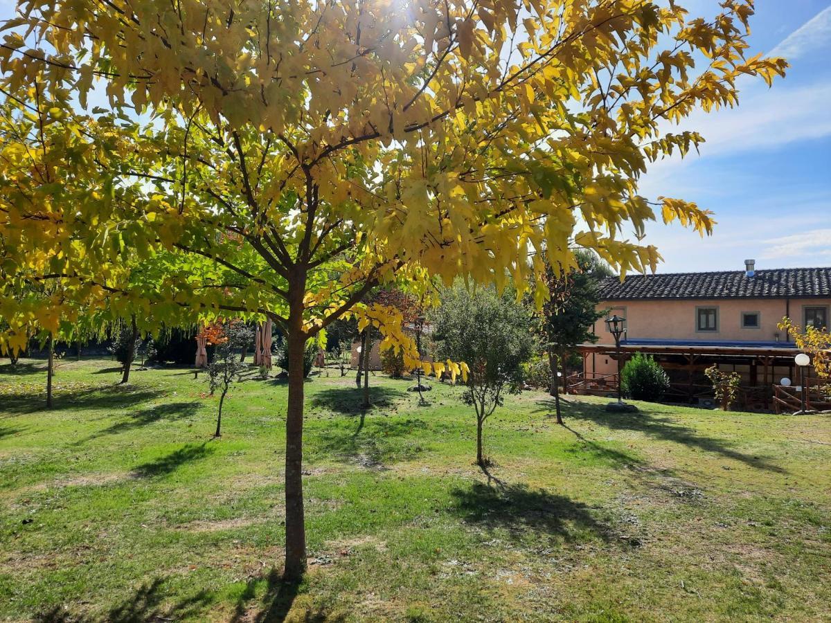 Sassomatto B&B Bioagriturelax Campogialli エクステリア 写真