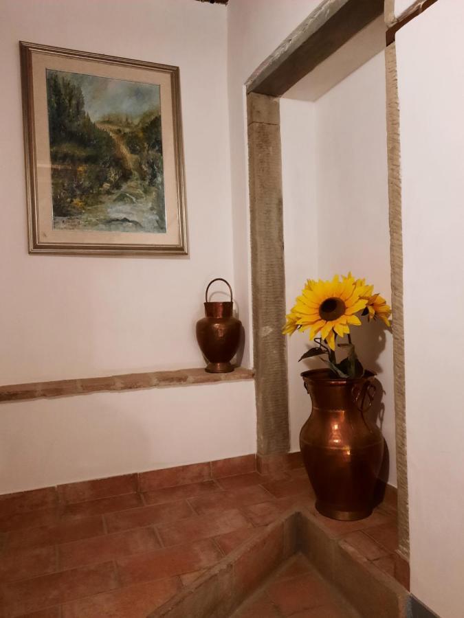 Sassomatto B&B Bioagriturelax Campogialli エクステリア 写真